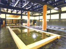 「三笠天然温泉 太古の湯」の浴場